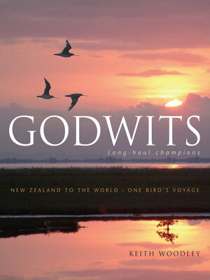 cover image of Godwits